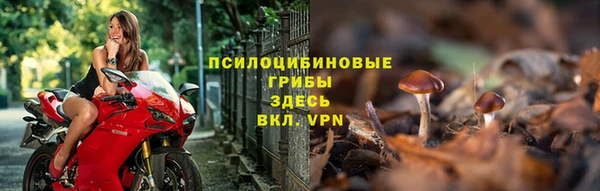 стафф Белокуриха